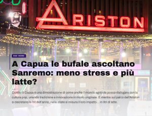 Sanremo arriva in stalla: le bufale ascoltano il Festival